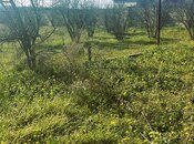 Продаётся  участок 23 сот, пос. Масазыр, photo 6 from 8