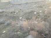 Satılır  torpaq 4 sot, Badamdar q., photo 1 from 4