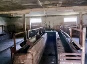 Satılır  torpaq 3 000 sot, photo 4 from 8