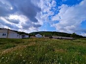 Elan №5699327 - Şamaxı, Şamaxı, 3000 sot