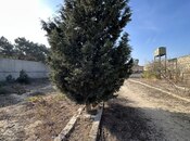 Satılır  torpaq 12 sot, Mərdəkan q., photo 1 from 2