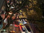 Продаётся  объект 122 м², м. Низами, photo 6 from 8