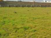 Satılır  torpaq 25 sot, Türkan q., photo 3 from 3