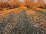 Satılır  torpaq 30 sot, photo 3 from 5