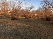 Elan №5701747 - Qəbələ, Qəbələ, 30 sot