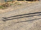 Продаётся  участок 60 сот, пос. Сарай, photo 4 from 4