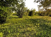 Satılır  torpaq 30 sot, photo 4 from 5