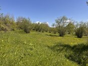 Satılır  torpaq 30 sot, photo 5 from 5