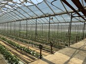 Satılır  obyekt 35 000 m², photo 4 from 8