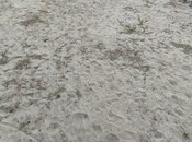 Satılır  torpaq 6 sot, Sea Breeze q., photo 5 from 5