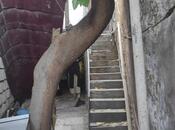 İcarəyə verilir 4 otaqlı köhnə tikili 110 m², Elmlər Akademiyası m., photo 5 from 8