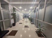 Объявление №5706506 - Баку, м. Нариман Нариманов, 11-комн., 400 м²