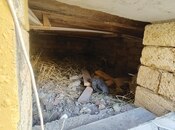 Satılır 2 otaqlı həyət evi/bağ evi 55 m², Mehdiabad q., photo 6 from 8