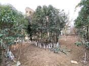 Satılır 9 otaqlı həyət evi/bağ evi 470 m², Badamdar q., photo 8 from 8