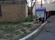 Elan №5712277 - Bakı, Gənclik m., 6 sot