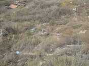 Satılır  torpaq 6 sot, Badamdar q., photo 3 from 4