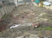 Satılır  torpaq 6 sot, Badamdar q., photo 1 from 4