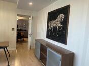 Сдаётся 5-комн. новостройка 300 м², м. Низами, photo 5 from 8