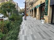 İcarəyə verilir  obyekt 600 m², Sahil m., photo 2 from 8