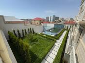 6 otaqlı həyət evi/bağ evi - Badamdar q. - 450 m²