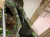 Сдаётся  объект 1 200 м², м. Гянджлик, photo 7 from 8