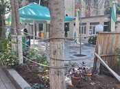 Elan №5716621 - Bakı, Binəqədi r., 6 sot