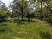 Продаётся 4-комн. дом/дача 3 000 м², photo 7 from 8