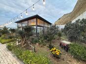 Satılır 6 otaqlı həyət evi/bağ evi 500 m², Badamdar q., photo 6 from 8