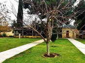 7 otaqlı həyət evi/bağ evi - Şüvəlan q. - 360 m²