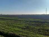 Elan №5718466 - Xaçmaz, Xaçmaz, 900 sot