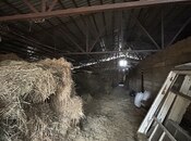 Satılır  obyekt 250 m², photo 5 from 8