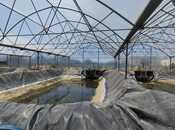 Elan №5722028 - Bakı, Türkan q., 10000 m²