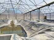 Продаётся  объект 10 000 м², пос. Тюркан, photo 5 from 8