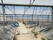 Продаётся  объект 10 000 м², пос. Тюркан, photo 6 from 8