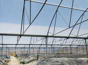 Продаётся  объект 10 000 м², пос. Тюркан, photo 8 from 8