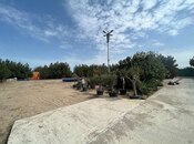 Продаётся  участок 75 сот, пос. Нардаран, photo 5 from 8