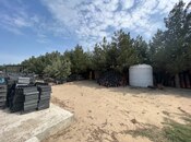 Продаётся  участок 75 сот, пос. Нардаран, photo 8 from 8