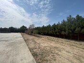 Продаётся  участок 75 сот, пос. Нардаран, photo 6 from 8