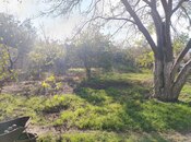 Объявление №5498764 - Баку, пос. Фатмаи, 5 сот