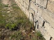 Satılır  torpaq 200 sot, Sabunçu r., photo 8 from 8