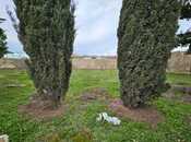 Продаётся  участок 10 сот, пос. Шувеляны, photo 2 from 3