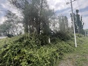 Elan №5729567 - Xaçmaz, Xaçmaz, 60 sot