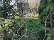 Satılır  torpaq 11.5 sot, Ceyranbatan q., photo 8 from 8