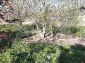 Satılır  torpaq 11.5 sot, Ceyranbatan q., photo 5 from 8