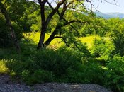 Продаётся 2-комн. дом/дача 50 м², photo 3 from 8