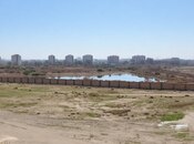 Продаётся  участок 150 сот, Абшеронcкий  р., photo 2 from 8