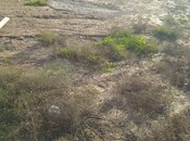 Продаётся  участок 10 сот, пос. Бадамдар, photo 3 from 6