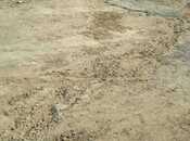 Продаётся  участок 10 сот, пос. Бадамдар, photo 5 from 6