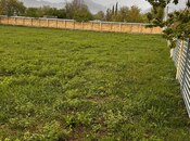 Elan №5736749 - Qəbələ, Qəbələ, 20 sot