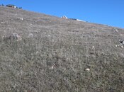 Продаётся  участок 12 сот, photo 8 from 8